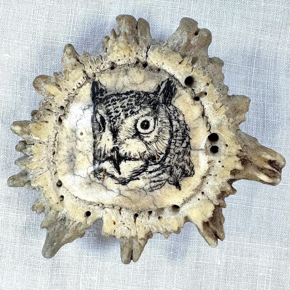 Handmade Scrimshaw Owl Antler Burr Belt Buckle Western Wildlife Art Bone Crown